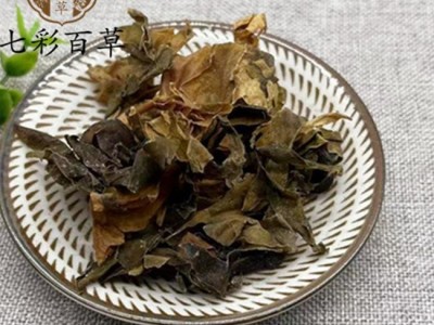昆布 统 产地 山东省 产地货源 量大从优图3