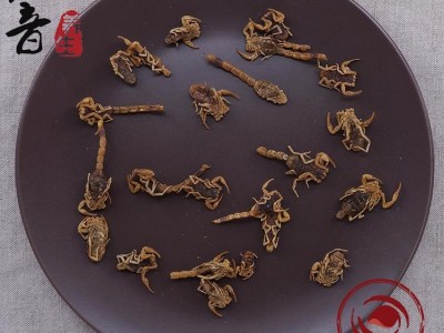 【满包邮】清水全蝎陕北（全虫 蝎子）全清水无盐（全干） 中药材批发 规格齐全图3