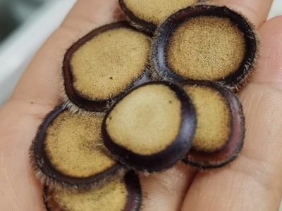 纯正鹿茸半蜡片，鹿茸片养殖鹿鹿茸花小片图4