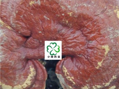 灵芝 新货 颜色好 无虫蛀 产地 安徽省图2