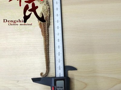 【满包邮】海马 精选1.5克每条 我们保证每一条都是清水 无添加 优选品质 产地直供 邓氏中药批发图2