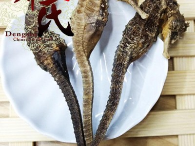 【满包邮】海马 精选1.5克每条 我们保证每一条都是清水 无添加 优选品质 产地直供 邓氏中药批发图3