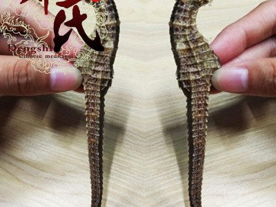 【满包邮】海马 精选1.5克每条 我们保证每一条都是清水 无添加 优选品质 产地直供 邓氏中药批发图4