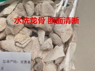 龙骨 大统块 黏舌头 产地 甘肃省图2
