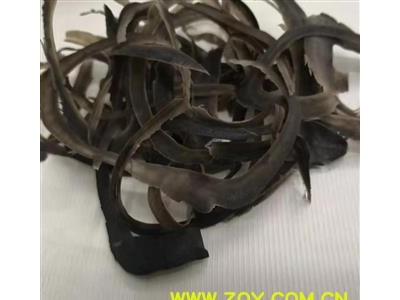 万信药业 水牛角丝 大量批发 水牛角细丝 产地 广西壮族自治区图2