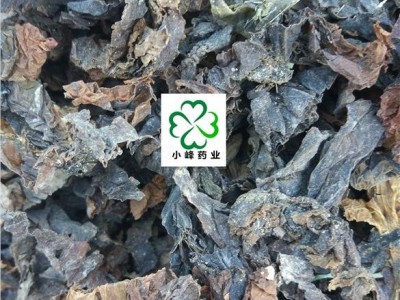 昆布 新货 统货 颜色好  产地 山东省图2