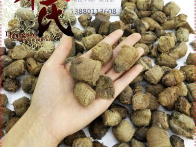 【满包邮】桑螵蛸 全干统货 优选品质 产地直供 邓氏中药材批发图3