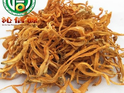 【满包邮】虫草花选货散装蛹虫草产地直供金虫草沁信源中药批发图2