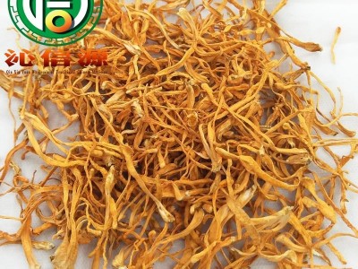 【满包邮】虫草花选货散装蛹虫草产地直供金虫草沁信源中药批发图4
