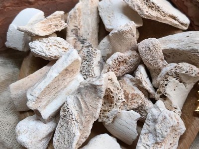 龙骨 水洗龙骨块 正品龙骨 产地 甘肃省图4