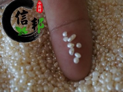 珍珠专业批发珍珠小圆色泽好薄利多销合作共赢专注品质,诚信信邦!图2