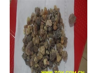制乳香 炒乳香 精品乳香 好统货 今年新货 无杂质 春节回馈客户  产地 海外图3