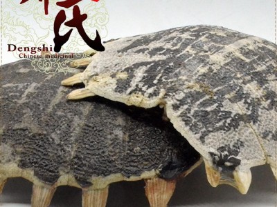 【满包邮】鳖甲 生鳖甲选货 优选品质 产地直供 邓氏中药材批发图4