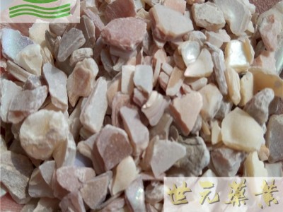 世元药业 珍珠母 珠牡丹 珠母 真珠母 明珠母 蚌壳图2