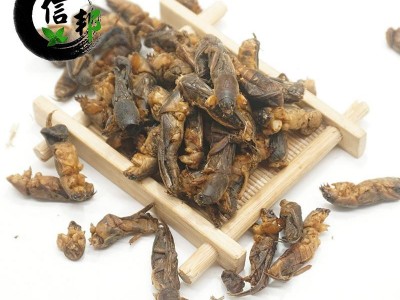 土狗蝼蛄正品土狗子清水无加重体型完整无杂蝲蝲蛄土狗子拉拉蛄干专注品质，诚信信邦！图3