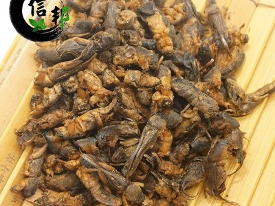 土狗蝼蛄正品土狗子清水无加重体型完整无杂蝲蝲蛄土狗子拉拉蛄干专注品质，诚信信邦！图4