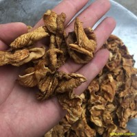 鸡内金 炒内金  炒鸡内金金黄色 颜色好 全干 碎渣少 为冲销量 货好价优