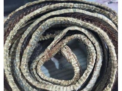 乌蛇 乌梢蛇 正品保证质量无理由退货退款图4