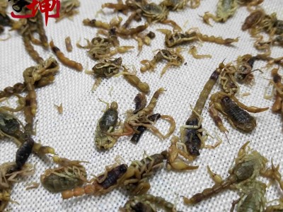 【包邮】全蝎 盐水货（250g） 陕西产 全虫【良心经营 品种齐全】图4