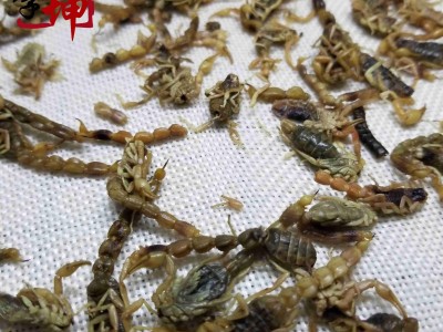【包邮】全蝎 盐水货（250g） 陕西产 全虫【良心经营 品种齐全】图3