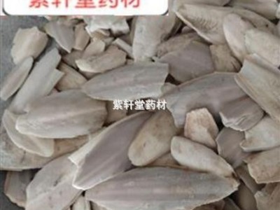 乌贼骨 鱼骨  海螵蛸统货 产地 广西福建等地图3