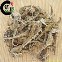 海马3克平马养殖不带刺清水不加料，干度好产地直销专注品质，诚信信邦！