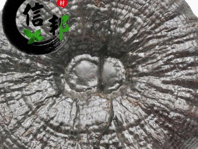 灵芝黑灵芝江西优质黑灵芝1公斤起售欢迎选购一手货源合作共赢专注品质，诚信信邦！图2