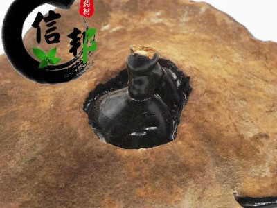 灵芝黑灵芝江西优质黑灵芝1公斤起售欢迎选购一手货源合作共赢专注品质，诚信信邦！图4