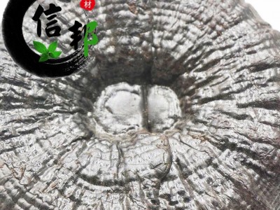 灵芝黑灵芝江西优质黑灵芝1公斤起售欢迎选购一手货源合作共赢专注品质，诚信信邦！图3