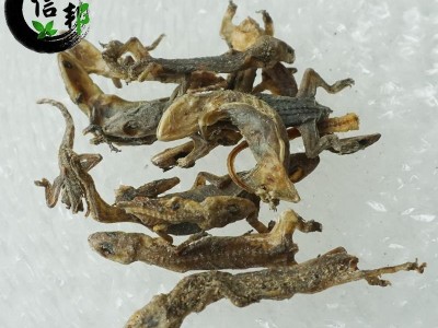壁虎干守宫进口天龙清水足干壁虎规格齐全专注品质，诚信信邦！图2
