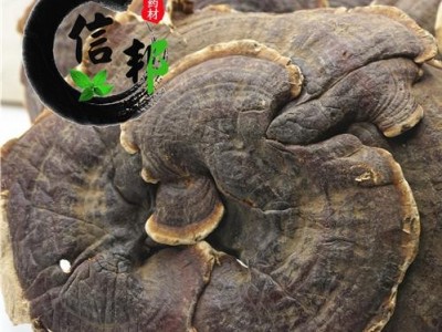 灵芝正宗西藏野生灵芝选货品相佳专营贵细类冷被偏门专注品质，诚信信邦！图2