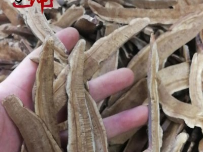 【99包邮】灵芝   大统片 吉林产 赤灵芝【良心经营 品种齐全】图3