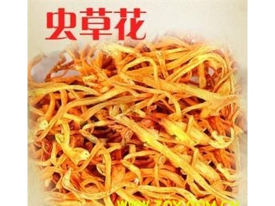 虫草花 无杂质 精品一级虫草花 金虫草 万信药业 品质保证 产地 吉林省图3