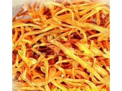 虫草花 无杂质 精品一级虫草花 金虫草 万信药业 品质保证 产地 吉林省图2