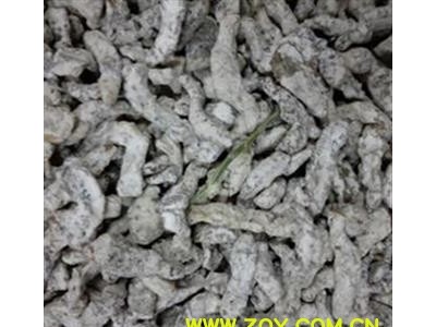 僵蚕 断面玻璃茬  产地 广西壮族自治区图2