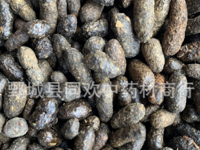 【好五灵脂米】@【同欢药材】中药材批发供应  规格齐全 量大从优  产地 山西省图2