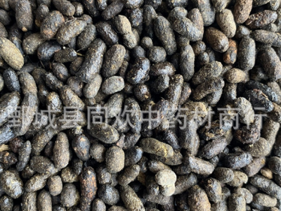 【好五灵脂米】@【同欢药材】中药材批发供应  规格齐全 量大从优  产地 山西省图3