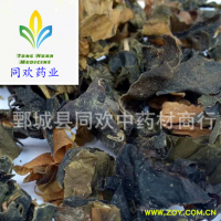 【水洗昆布】@【同欢药材】中药材批发供应  规格齐全 量大从优 产地 山东省