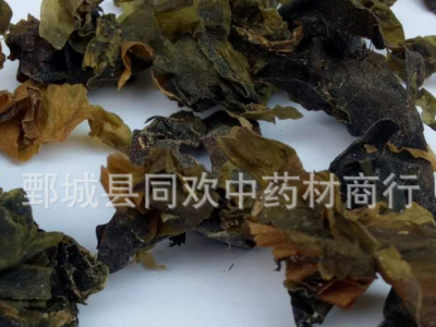 【水洗昆布】@【同欢药材】中药材批发供应  规格齐全 量大从优 产地 山东省图2