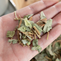 金钱草