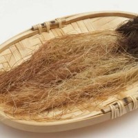 高品质、高性价比玉米须